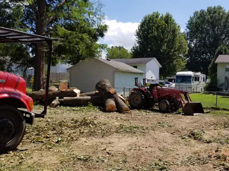 picture of heavy machinery being used in big tree removal process cape girardeau mo